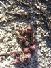 20160731_153056.jpg