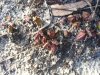 20160731_153110.jpg
