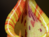 1657909358691.png