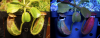 1660491045085.png