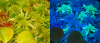 1660491085010.png