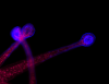 1660600677715.png
