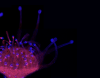 1660609518692.png