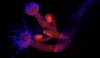 1660626990826.png