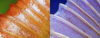 1660796066715.png