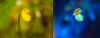 1665933300637.png