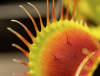 1670705590754.png