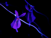 1671681815858.png