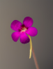 1686806624465.png