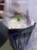 IMG_3003.jpeg