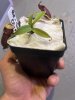 IMG_3004.jpeg