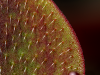 1716072941965.png