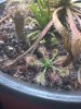 IMG_0030.jpeg