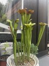 IMG_3607.jpeg