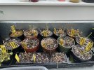 IMG_4827.jpeg