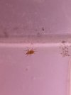IMG_9732.jpeg