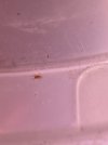 IMG_9729.jpeg