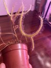 IMG_9788.jpeg