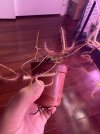 IMG_9786.jpeg