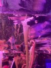 IMG_6280.jpeg
