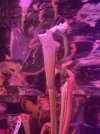 IMG_6281.jpeg