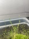 IMG_6288.jpeg