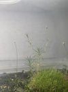IMG_6286.jpeg