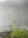 IMG_6287.jpeg