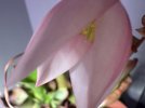 IMG_9344.jpeg