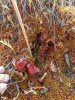 IMG_20201009_143113.jpg