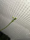 IMG_0372.jpeg
