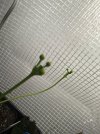 IMG_0371.jpeg